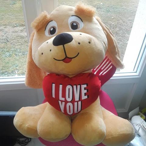 troc de  Gros nounours chien, sur mytroc