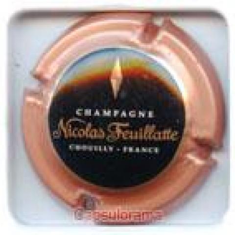 troc de  Capsule Champagne Nicolas Feuillatte Rose foncé, sur mytroc