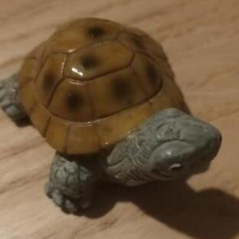 troc de  Cheloniophilie - Tortue résine, sur mytroc