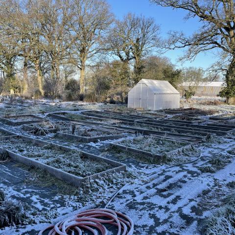 troc de  Désherbage / taille arbres, sur mytroc