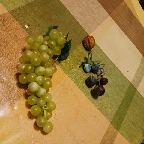 troc de  Fruits plastique, sur mytroc