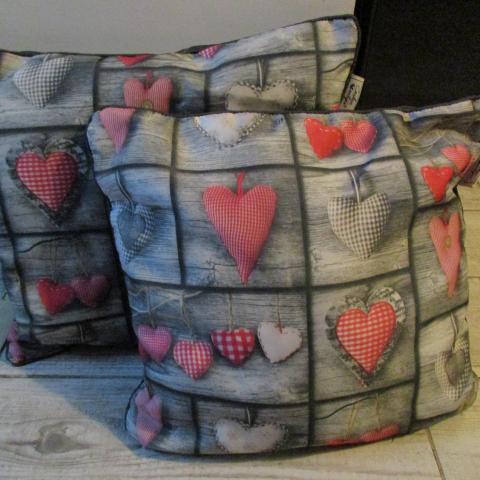 troc de  2 coussins 40 cms tbé marque couleur montagne, sur mytroc