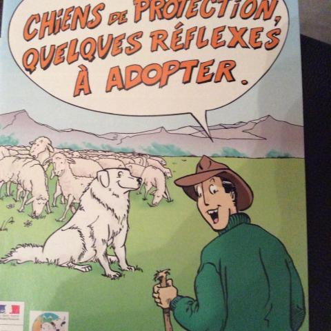 troc de  Livret 8 pages sur les chiens de protection dans les Pyrénées, sur mytroc