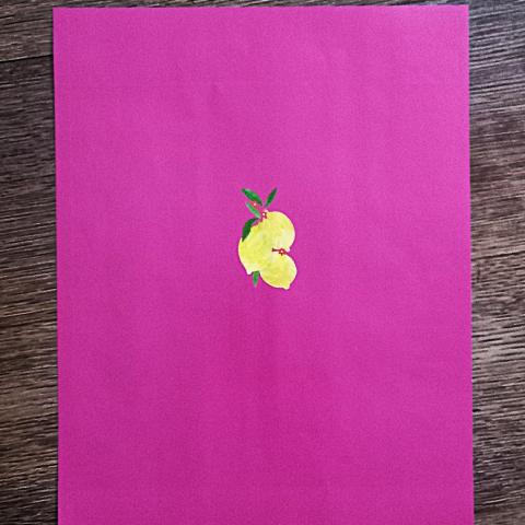 troc de  Papier créatif "Citrons"., sur mytroc