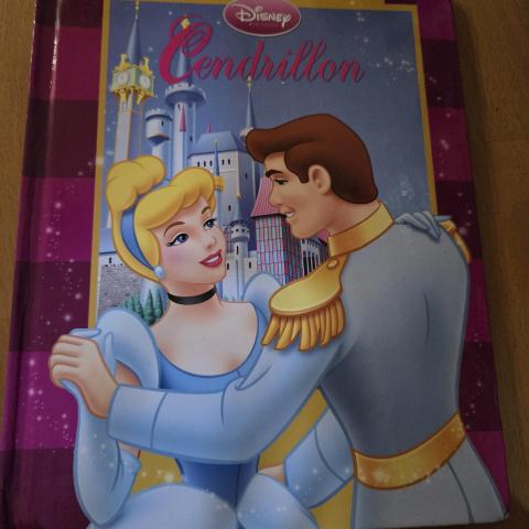 troc de  Cendrillon, sur mytroc