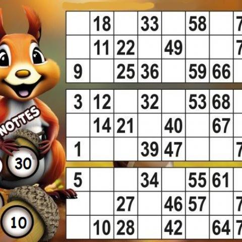 troc de  Le Bingo Noisettes de la Saint Sylvestre, sur mytroc