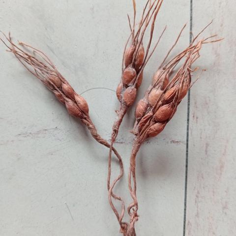 troc de  Pour loisirs créatifs, sur mytroc