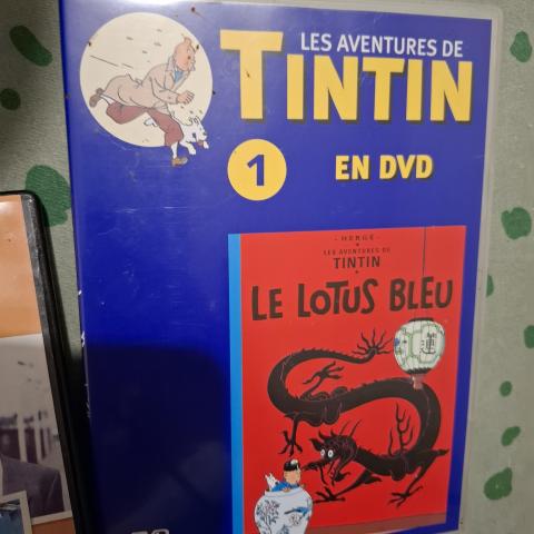 troc de  Dvd tintin  le lotus bleu, sur mytroc