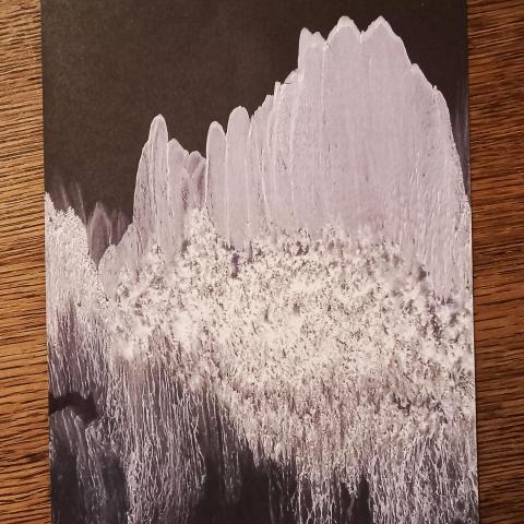 troc de  Image "Mer de glace"., sur mytroc