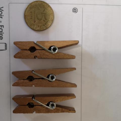 troc de  RESERVEES LEELOU 3 petites pinces en bois, sur mytroc