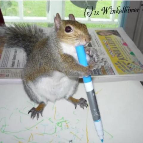 troc de  Chercher feutres / stylos / crayon, sur mytroc