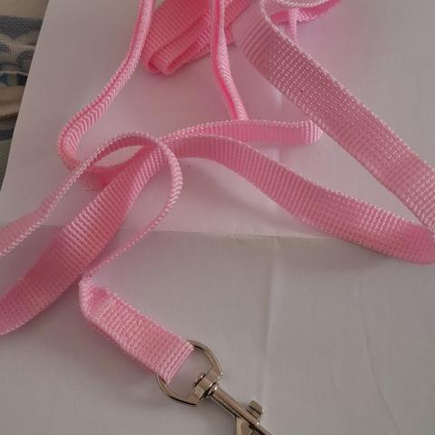 troc de  Reserve Laisse rose, sur mytroc
