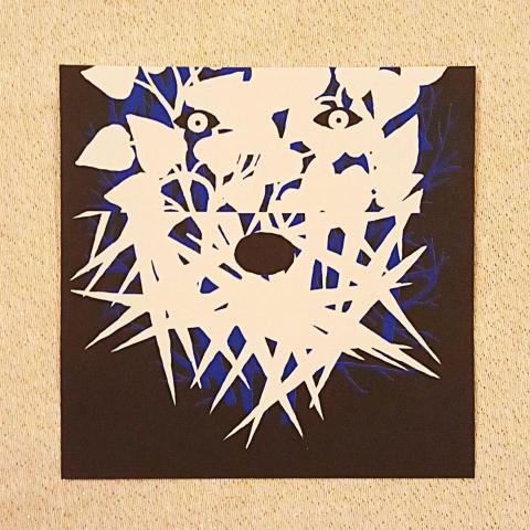 troc de  Papier créatif., sur mytroc