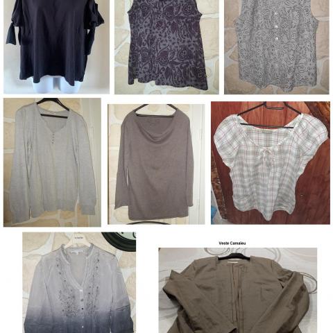 troc de  Lot 8 vêtements femme T.42/44, sur mytroc