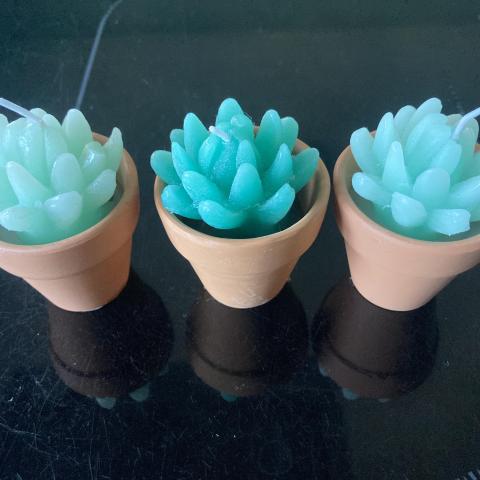 troc de  Lot de 3 bougies neuves, sur mytroc