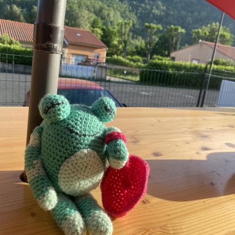 troc de  Grenouille, sur mytroc