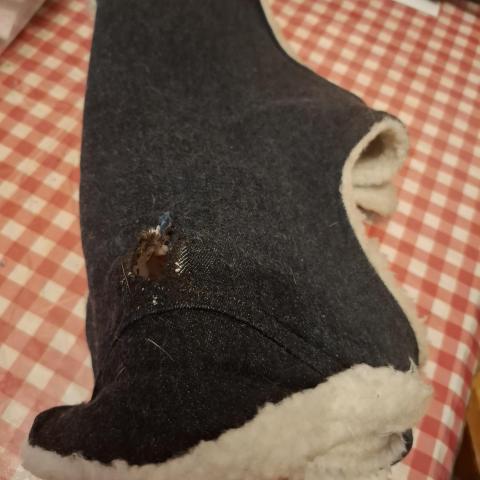 troc de  Manteau petit chien fourré, sur mytroc