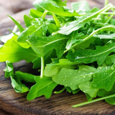 troc de  Graines de roquette, sur mytroc