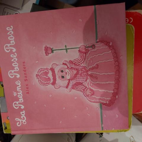 troc de  Livre enfant de burger king, sur mytroc