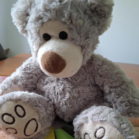 troc de  Peluche ourson, sur mytroc