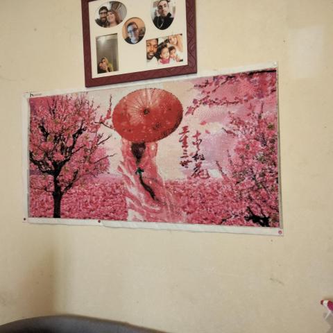 troc de  Diamond painting, sur mytroc