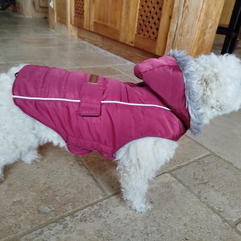 troc de  Manteau hiver, sur mytroc