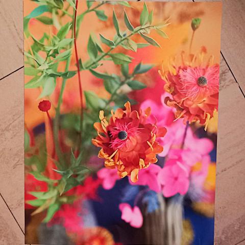 troc de  Affiche "Nature"., sur mytroc