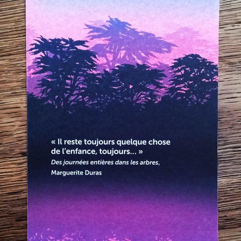 troc de  Grande image citation., sur mytroc