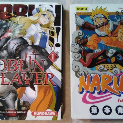 troc de  lot 2 livres/manga, enfant, très bon état, sur mytroc