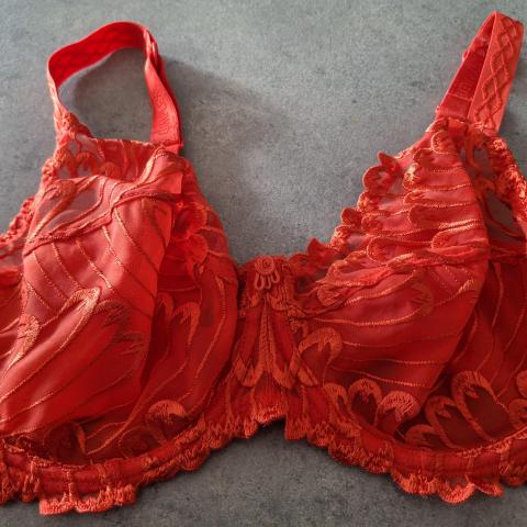 troc de  Soutien gorge rouge, sur mytroc