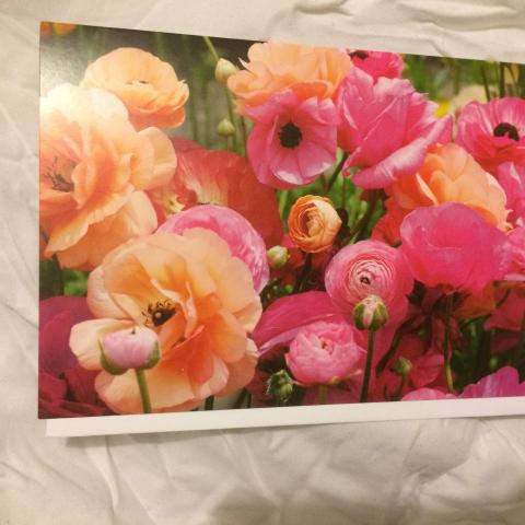 troc de  Carte parterre de fleurs renoncules rose et orange & son envelopp, sur mytroc