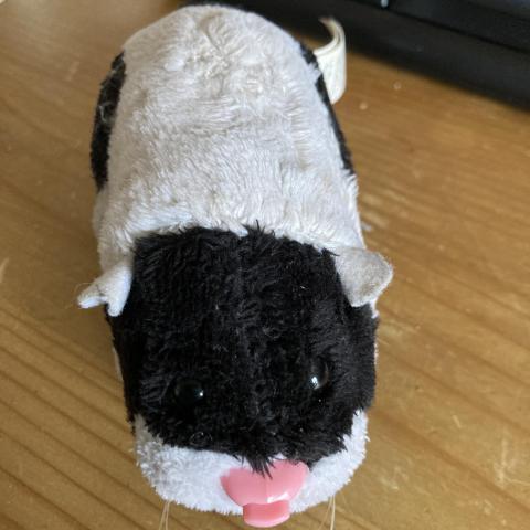 troc de  Zhu zhu pet, sur mytroc