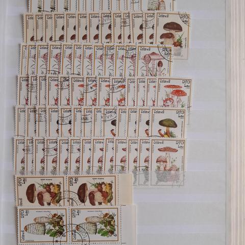 troc de  Echange timbres theme champignons contre flyers, sur mytroc