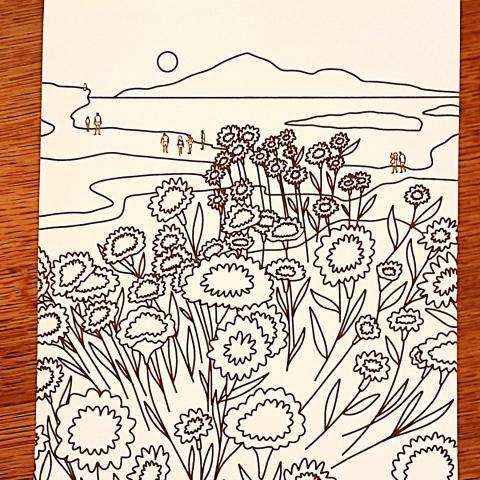 troc de  Coloriage "Les tournesols"., sur mytroc