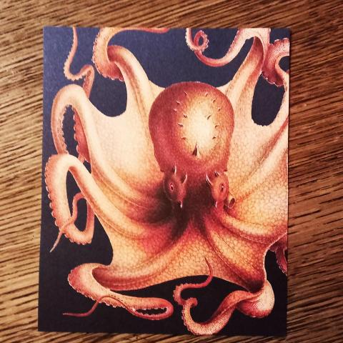 troc de  Image "Mollusque méditerranéen"., sur mytroc