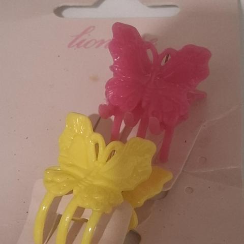 troc de  2 barettes pinces, sur mytroc