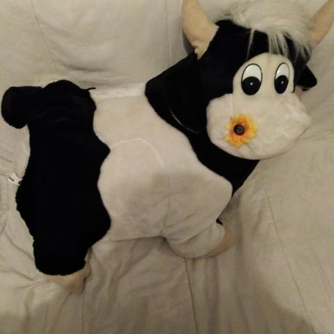 troc de  Grosse peluche vache 64cm X55cm, sur mytroc