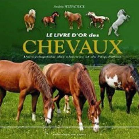 troc de  B.Livre - Le livre d'or des chevauux, sur mytroc