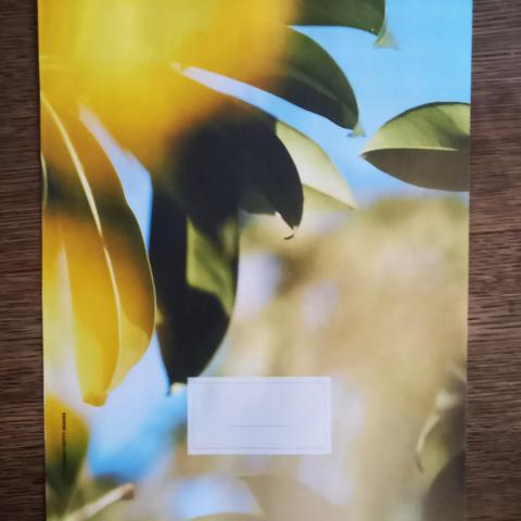troc de  Papier créatif., sur mytroc