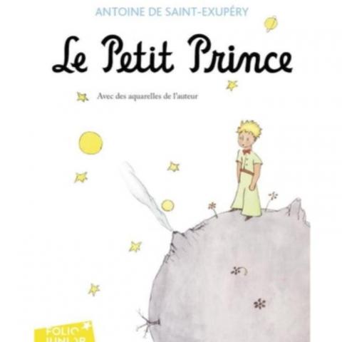 troc de  Recherche DVD Le Petit Prince, sur mytroc