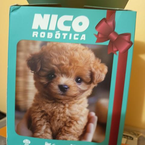 troc de  Chien automate, sur mytroc