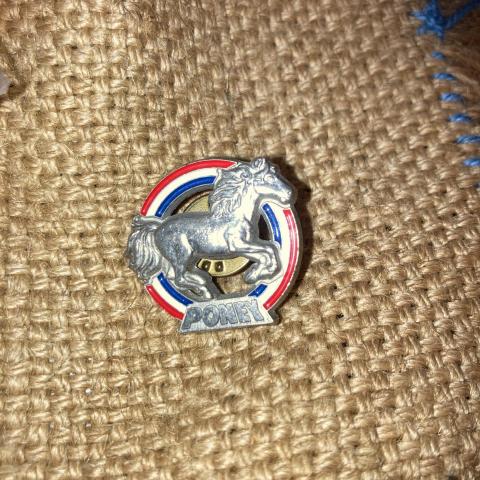 troc de  Pin’s Poney, sur mytroc