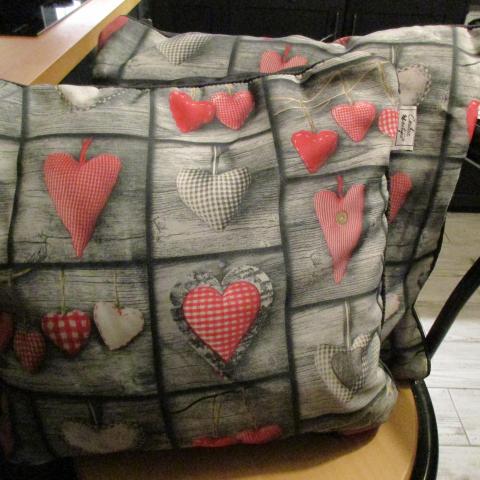troc de  2 coussins couleur montagne,40 cms, sur mytroc