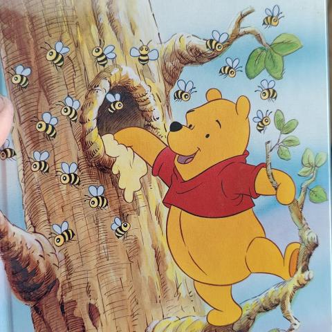 troc de  Livre disney, sur mytroc