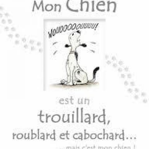 troc de  Livre - Mon chien est un trouillard, roublard et cabochard..., sur mytroc