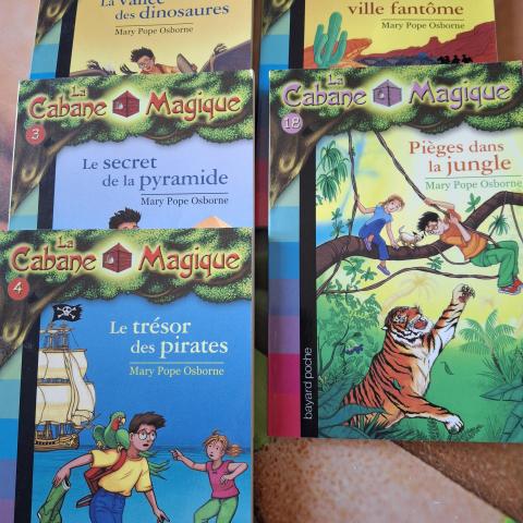 troc de  Lot 5 livres la cabane magique tomes 1 3 4 13 18, sur mytroc