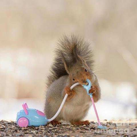 troc de  Pièces pour aspirateur Dyson V7, sur mytroc