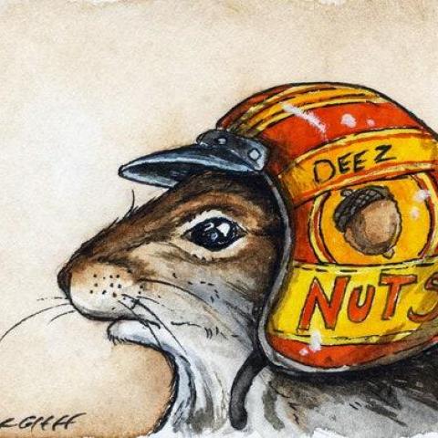 troc de  Recherche casque vélo bébé, sur mytroc