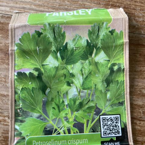 troc de  Graines de persil, sur mytroc