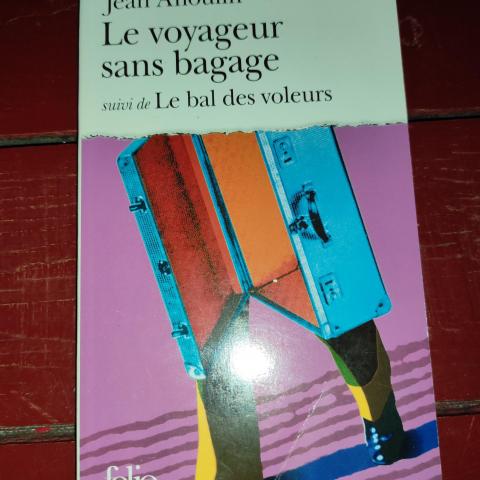 troc de  livre le voyageur sans bagage, sur mytroc